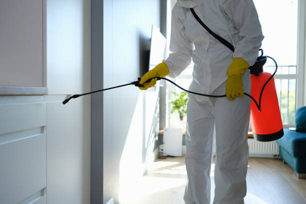 Best Mold Remediation  in South Henderson, NC