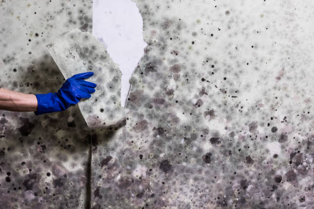 Water Damage Restoration in South Henderson, NC